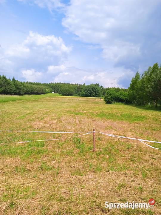 Sprzedam działkę świętokrzyskie
