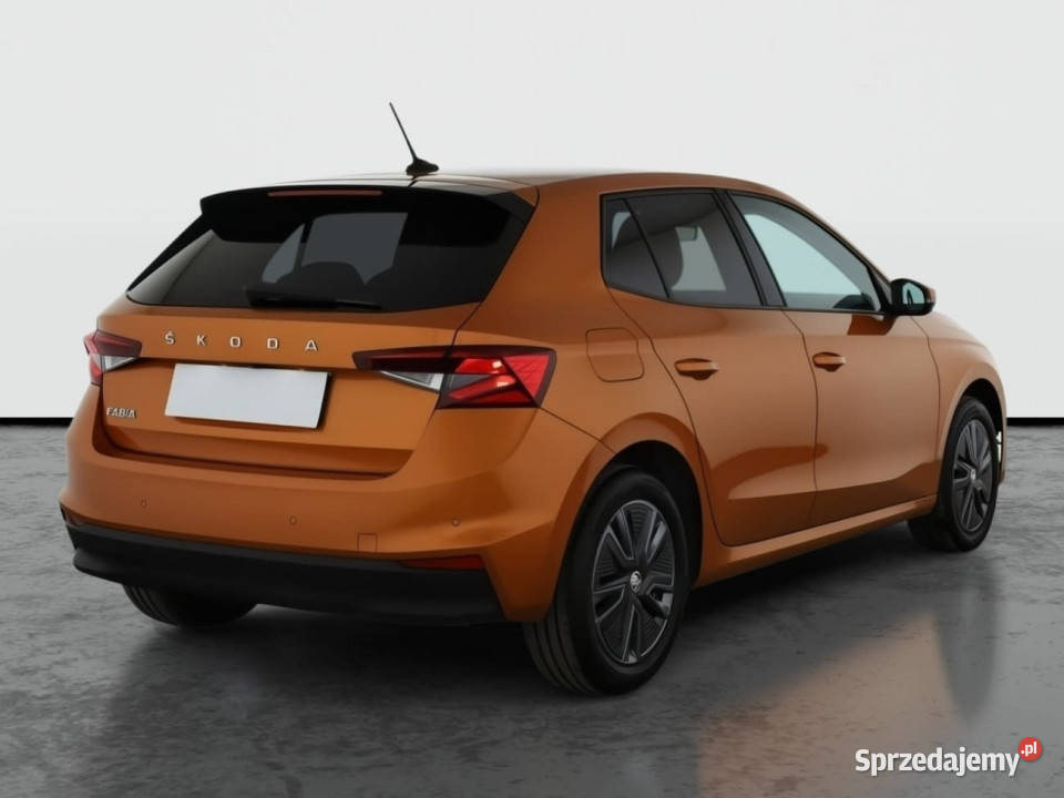 Skoda Fabia 10 TSI wielofunkcyjna kierownica Piaseczno