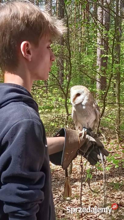 Roztocze Dziupla Pana Sowy Bondyrz