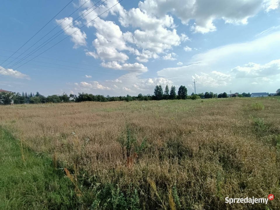 Dwie działki budowlane w Nowodworze gm Lubatów Nowodwór