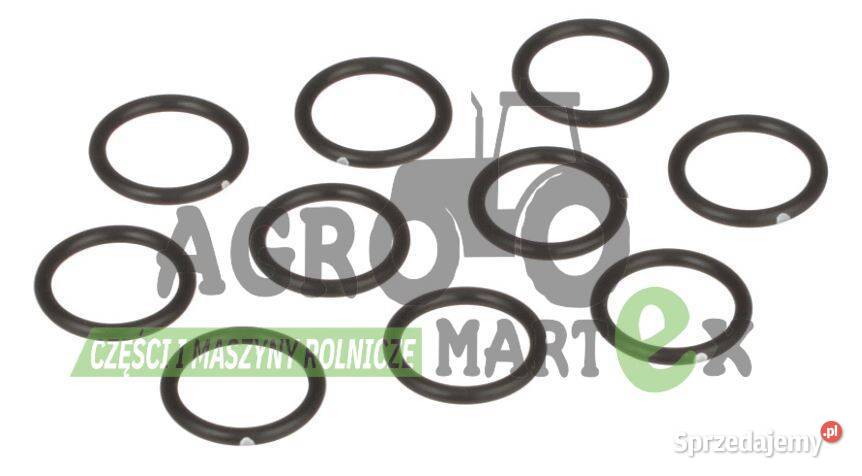 129979 47136259 410749A3 2385115 ORING CNH Wichrów