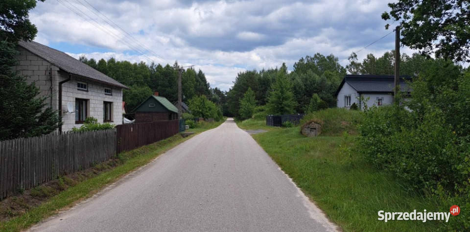 Sprzedam siedlisko 4000 m2 Domy Luta