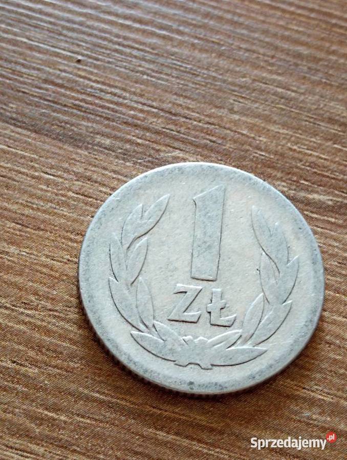 sprzedam piate 1 zl 1949 r bzm Chełm