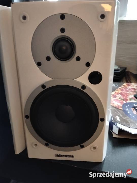 Dynaudio Ostrowiec Świętokrzyski