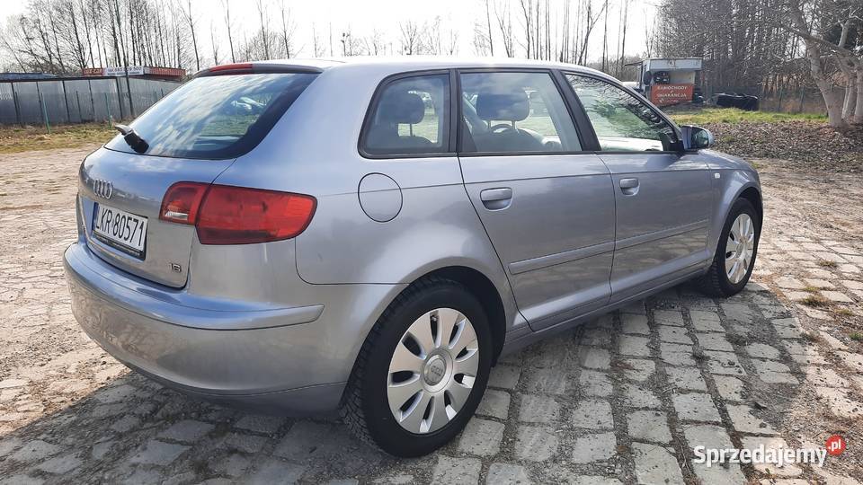 Audi A3 8P 16 Benzyna 5 Drzwi sprawna Klima Alu A3 Kraśnik