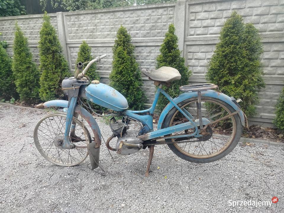 Komar sztywniak silnik kręci śląskie Poręba