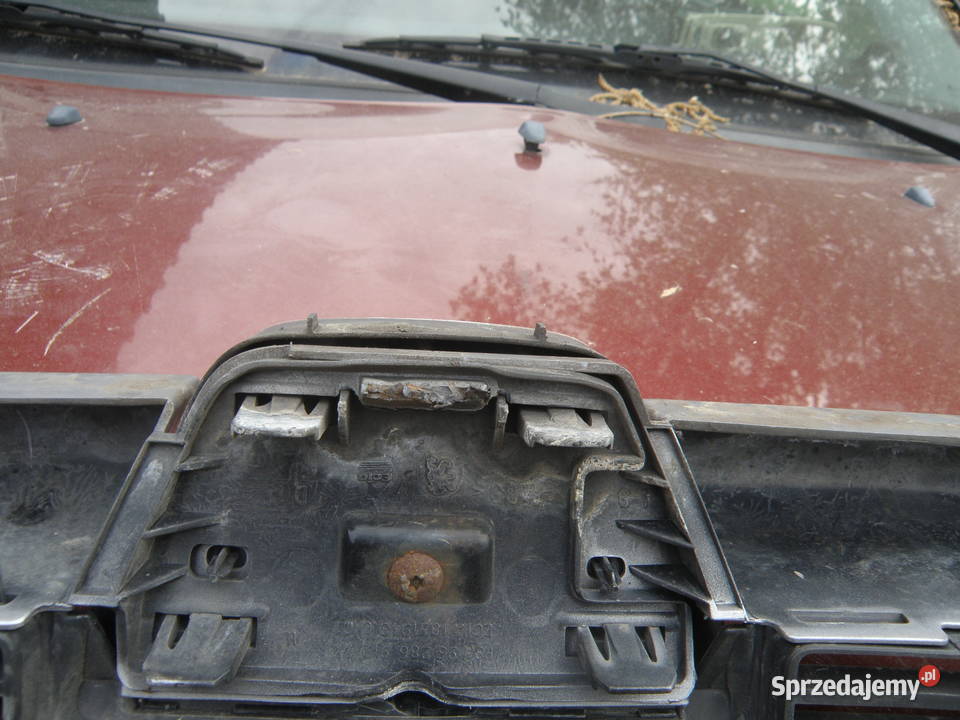 Grill Atrapa chłodnicy wlot powietrza Peugeot Rok produkcji 2004 Kraków