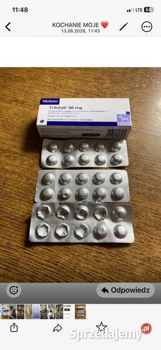Sprzedam TRILOTAB 60mg lek piesków wykorzystane lubelskie Puławy