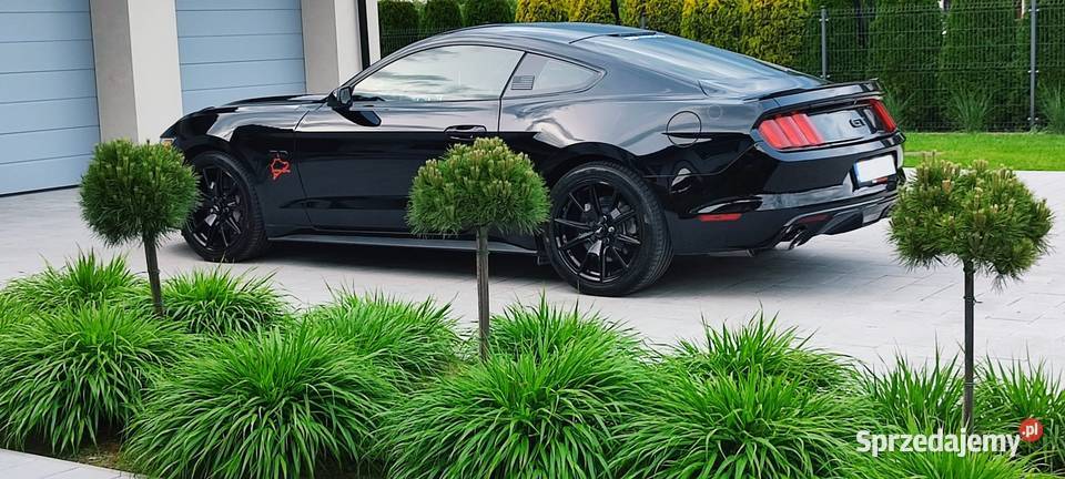 Ford Mustang Ford Mustang 50 V8 GT I właściciel mazowieckie Marki sprzedam
