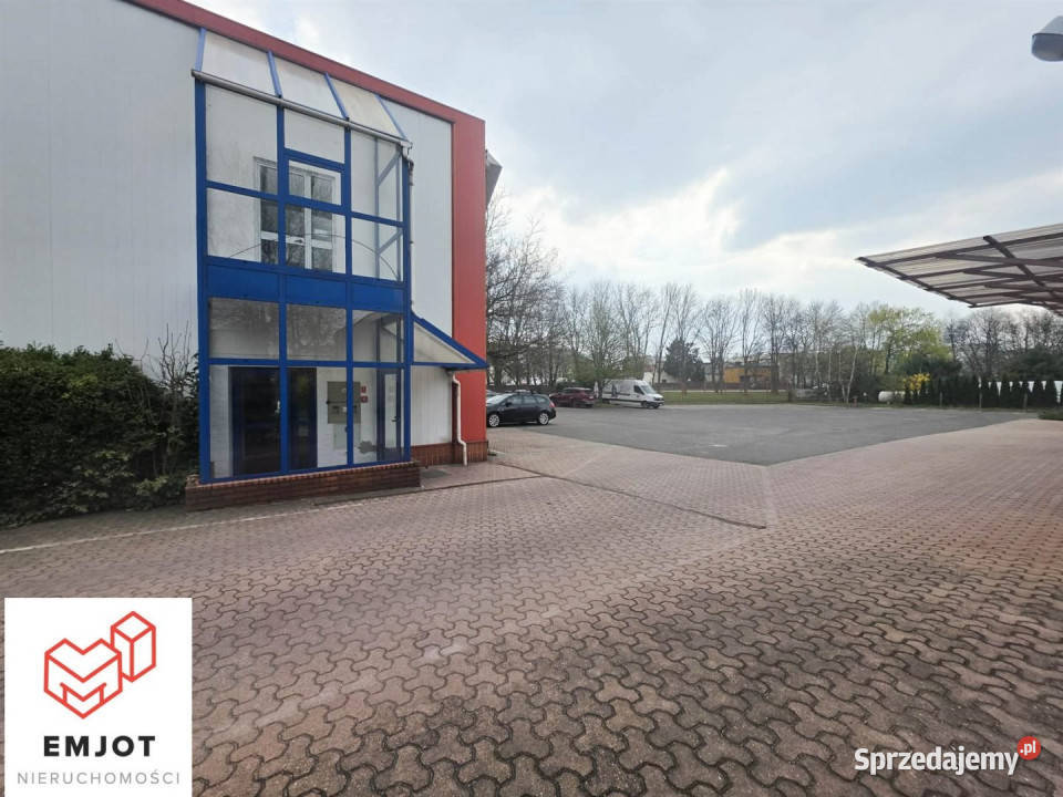 Lokal na wynajem Zduńska Wola 300m2