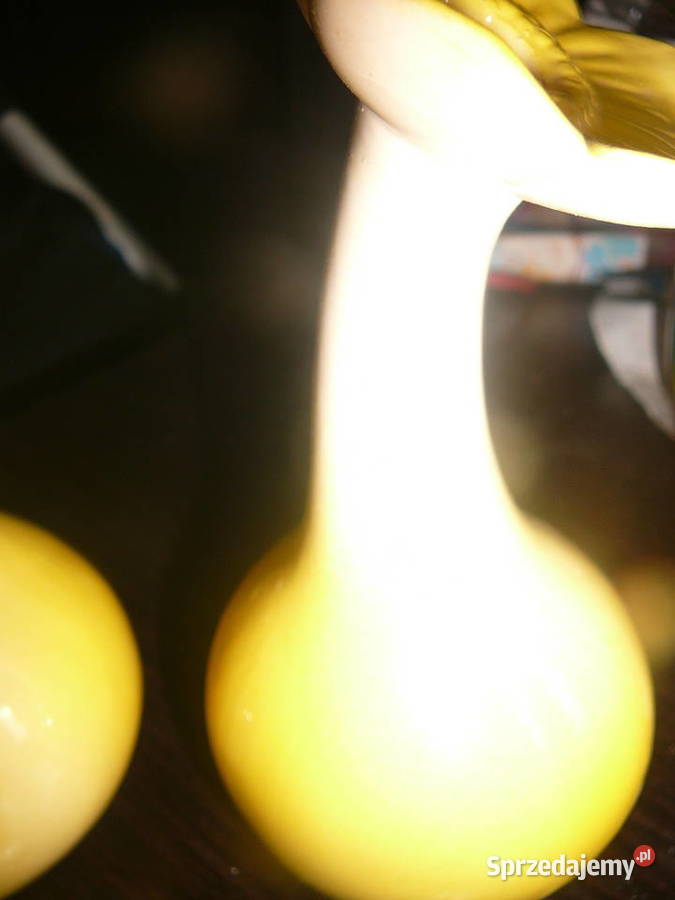 2 wazoniki ceramiczne kwiatki Wrocław