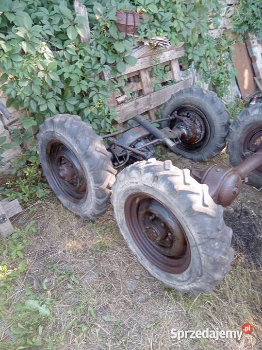 DYFRY Zila Lublina Stara Żuka Muscela Kadcza