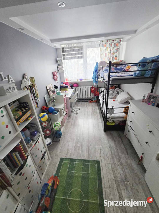 Widok na Odręcisza i centrum miasta3pokoje Piętro 10 Opole