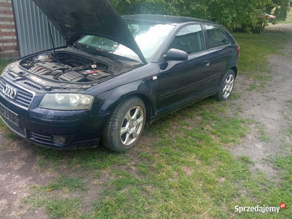 Audi A3 8P wszystkie części Samochody na części Chełm