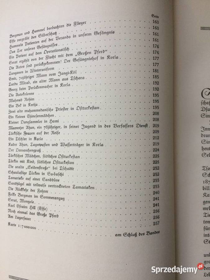 3604 Die Flucht Des Grossen Pferdes Szczecin