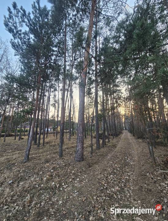 Działka budowlana w lesie 2631m 2MRU Dokudów II Dokudów Drugi