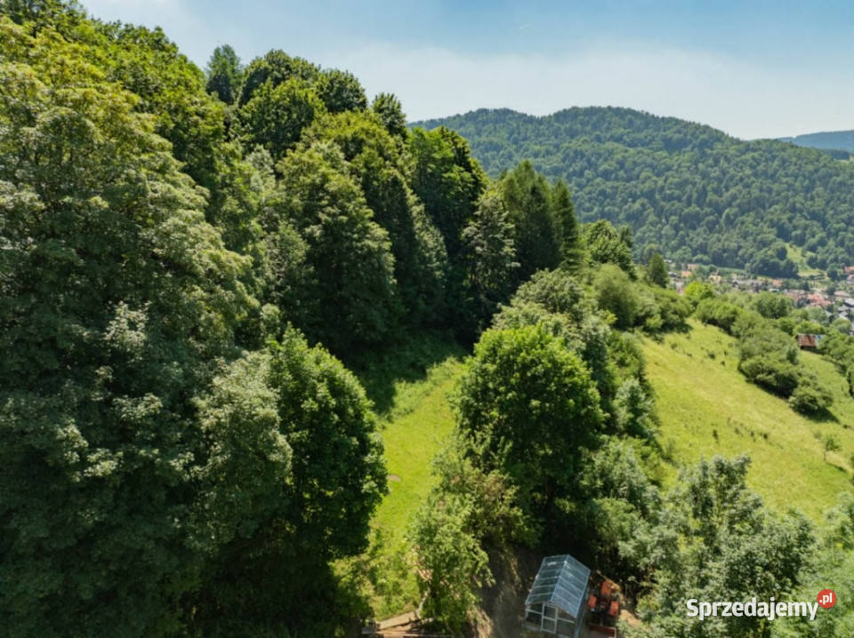 Działka rolna z potencjałem Sprzedaż Nieruchomości Szczawnica