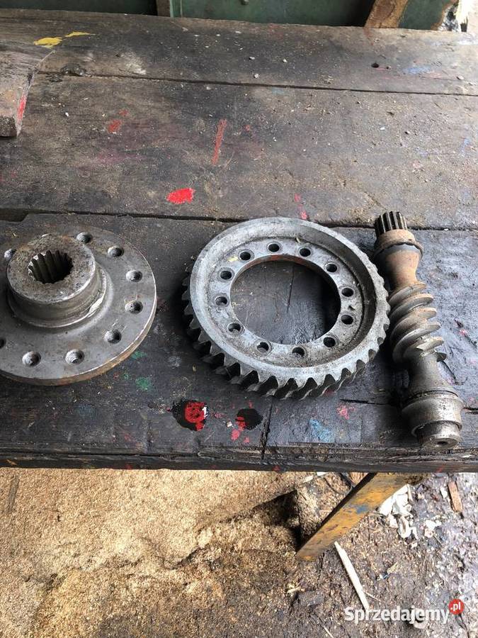 slimak slimacznica do wna wozek platformowy Suchedniów