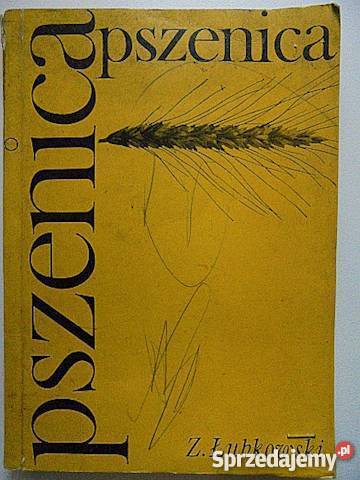 Pszenica Z Łubkowski 1968 fa Goleniów sprzedam