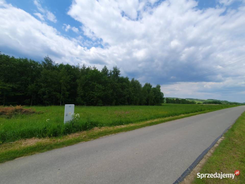 Działka budowlana 24 ary Nozdrzec lesie warunki 2400m2 sprzedam