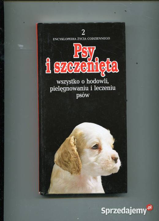 Psy i szczenięta Edney Mugford zachodniopomorskie Szczecin