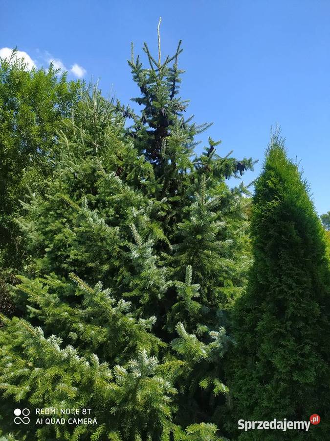 działka Dębe Małe gmLatowicz