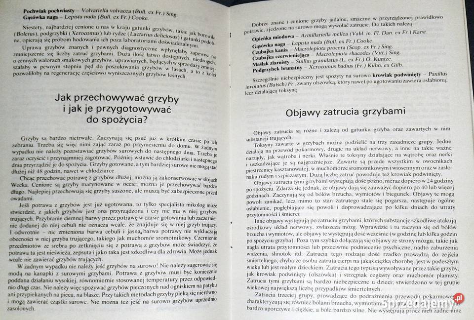 Grzyb jadalny czy trujący Zbigniew Domański Chełm