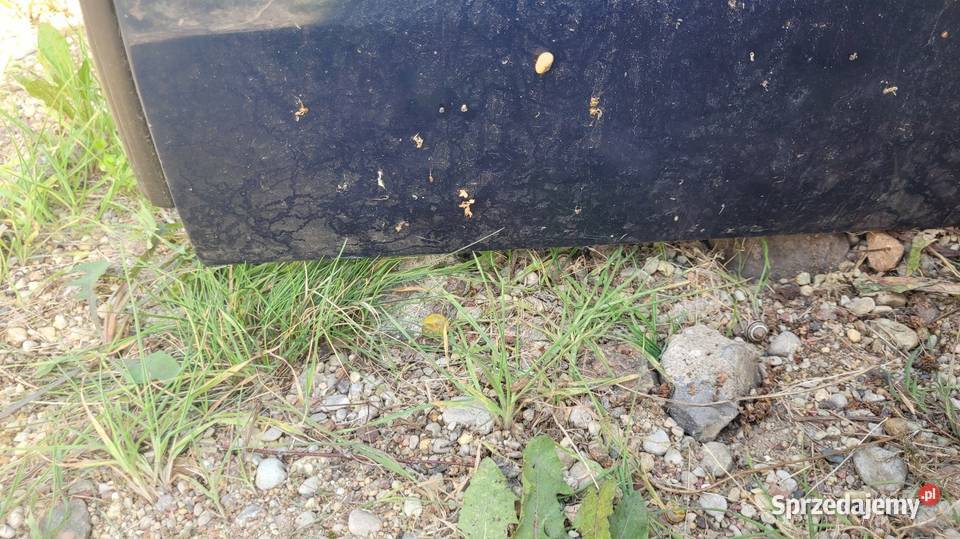 Drzwi Renault Laguna II Łagów