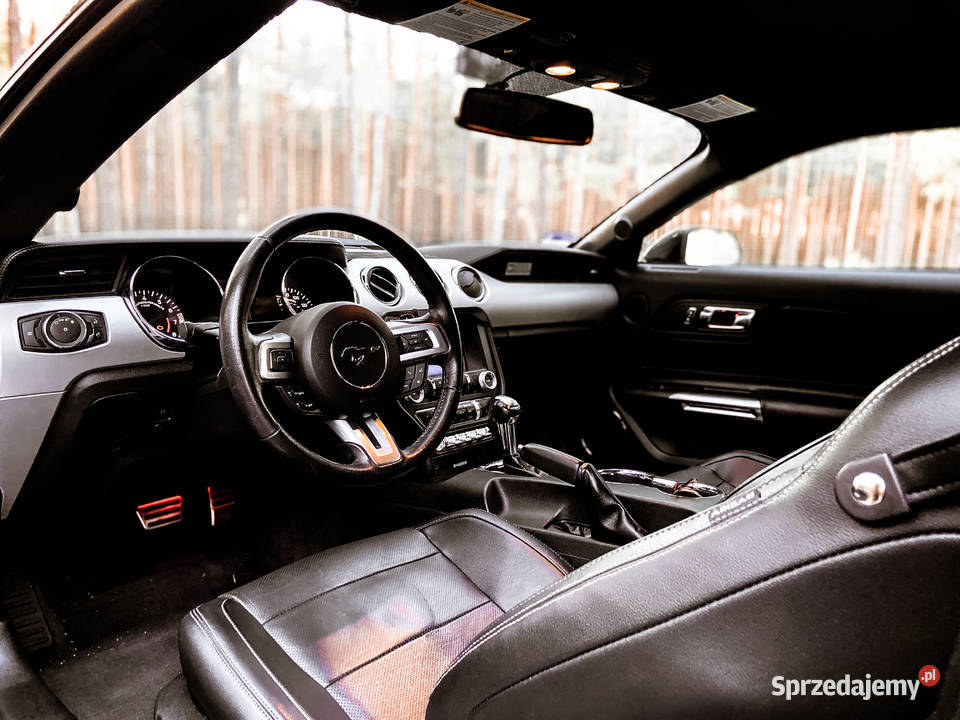 Auto Sportowy do Ślubu na wesele MUSTANG Premium Usługi foto i video Jelenia Góra