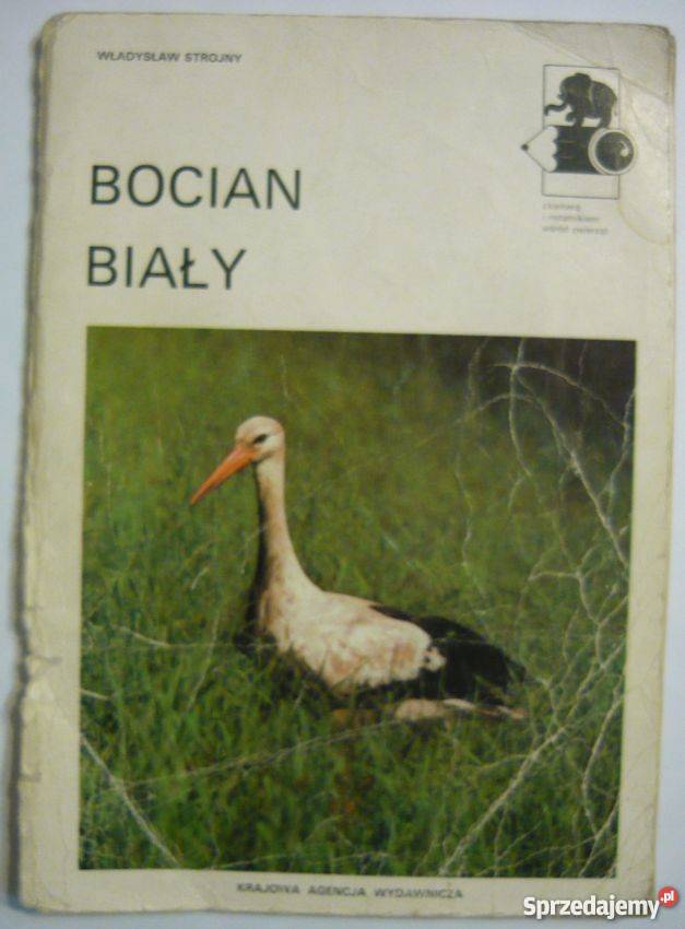 BOCIAN BIAŁY STROJNY WŁADYSŁAW Pozostałe Warszawa