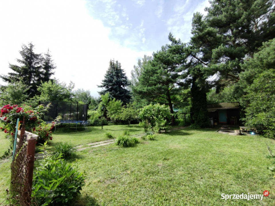 Działka Rekreacyjna ROD 500m2 Paluch 1 Włochy utwardzona Warszawa