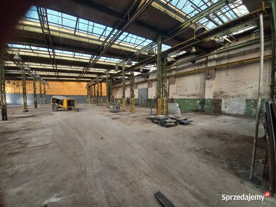 Do wynajęcia powierzchnia 680m2 Nieruchomości Wrocław