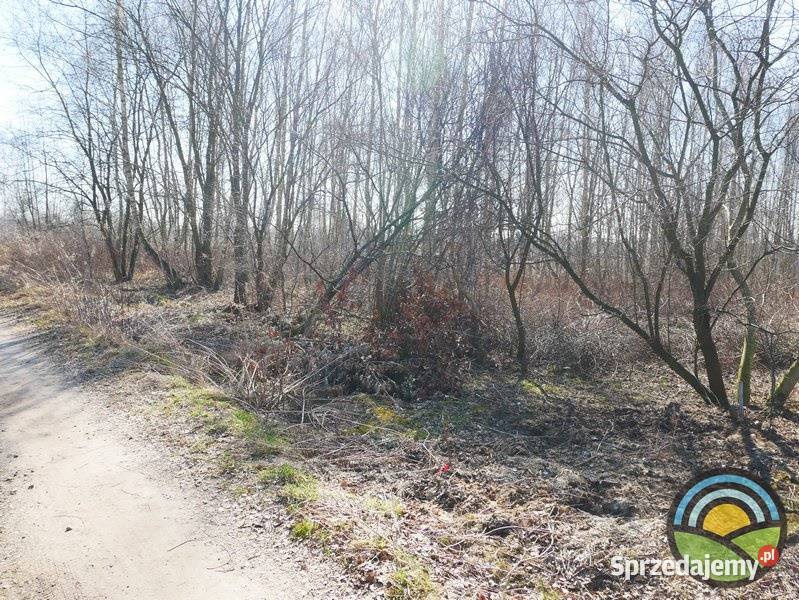 Działka przemysłowa 28arowa w Morawicy Sprzedaż małopolskie Morawica