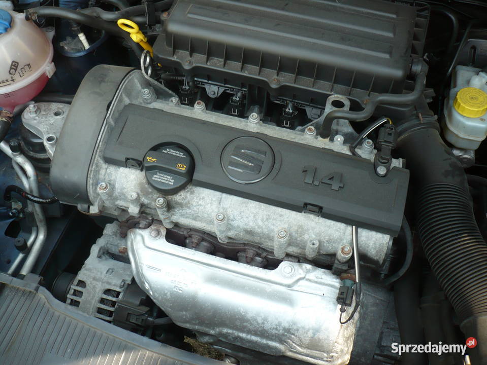 Seat Ibiza Niski Przebieg Piękny kolor benzyna Sztum sprzedam