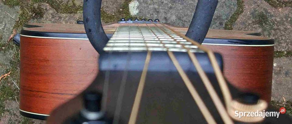 Nowa gitara akustyczna Morrison MM 5D Satin
