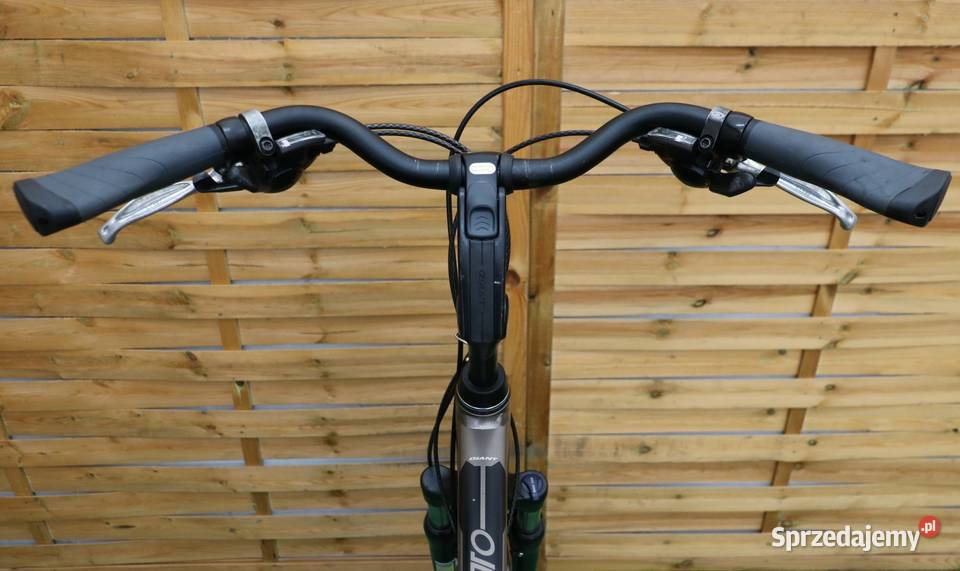 Rower męski Giant Argento H 60 I inne rowery Milanówek sprzedam