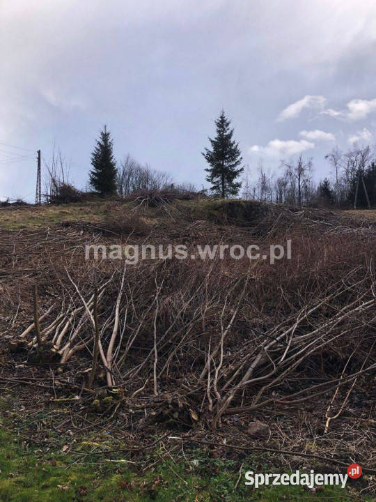 Działka budowlana z pięknym widokiem dolnośląskie Łomnica sprzedam