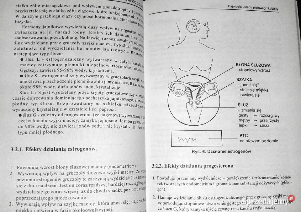Naturalne planowanie rodziny Aniela Samoć Chełm