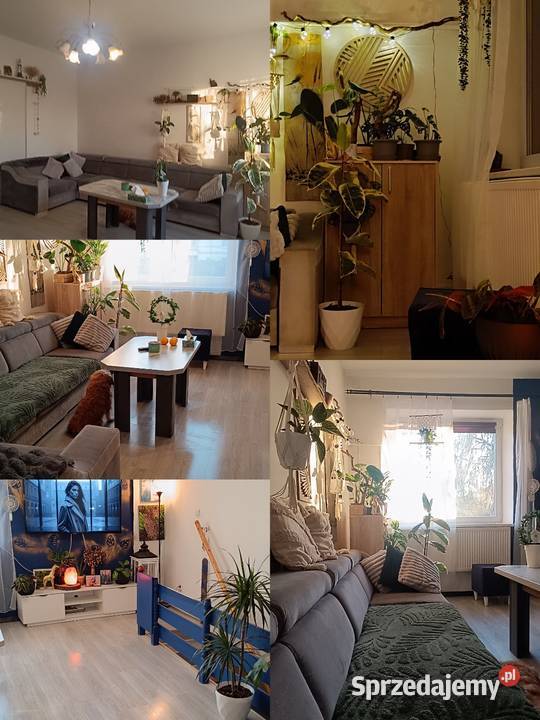 Sprzedam dom cegła Jarosław