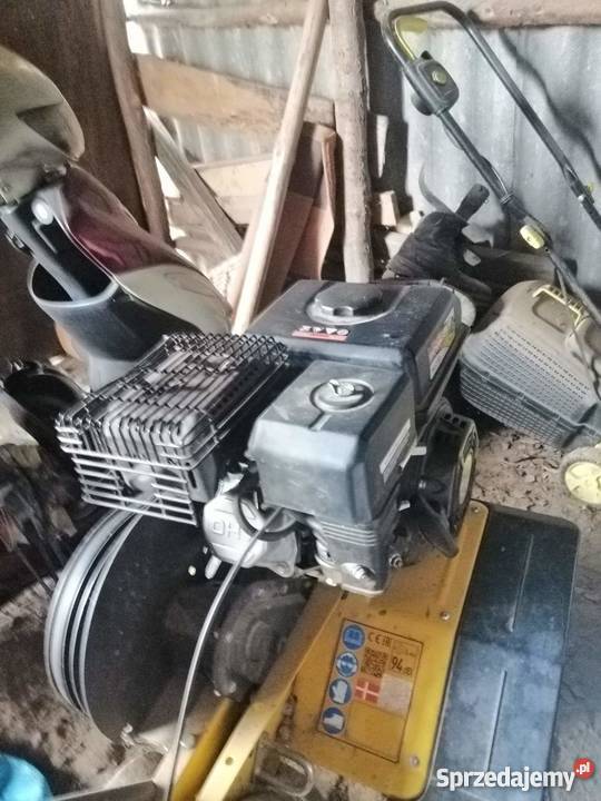 Glebogryzałka nieuszkodzony Wola Bobrowa