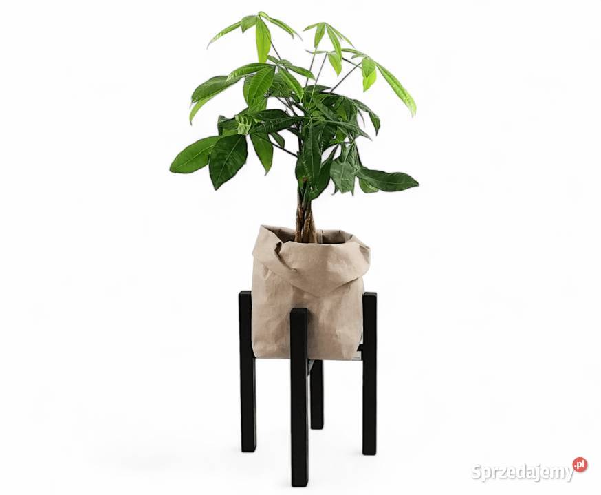 Kwietniki na nóżkach Stojaki pod kwiaty Warszawa