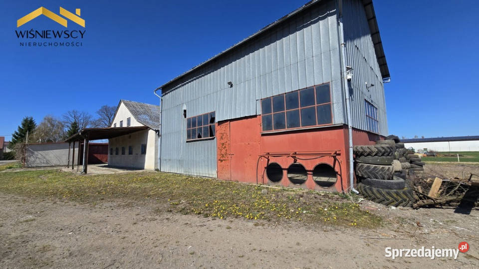 Dom z zabudowaniami działka 5300m Kościeleczki papa pomorskie sprzedam