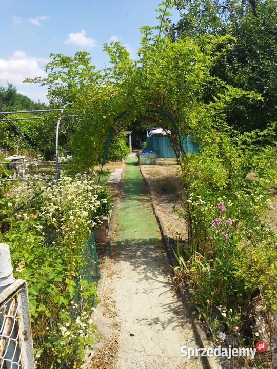 Działka ROD OŁAWKA Krakowska Wrocław