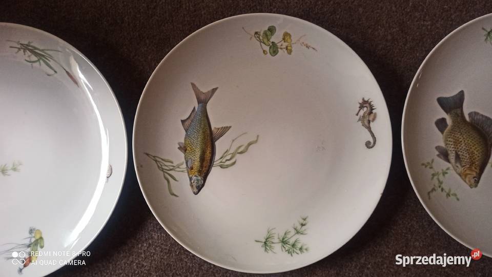 Talerz do ryb KA Krautheim Selb Bavaria Germany Porcelana i szkło pomorskie Gdańsk