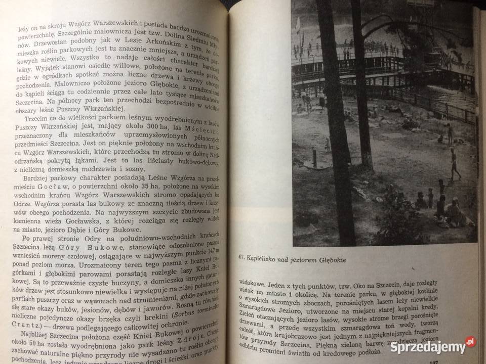 3302 Szczecin Miasto Parków I Zieleni