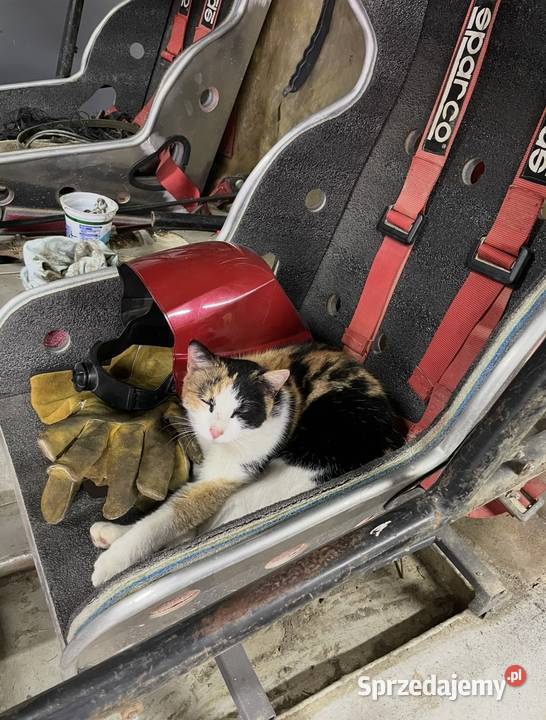 Zmota Rzeszów sprzedam