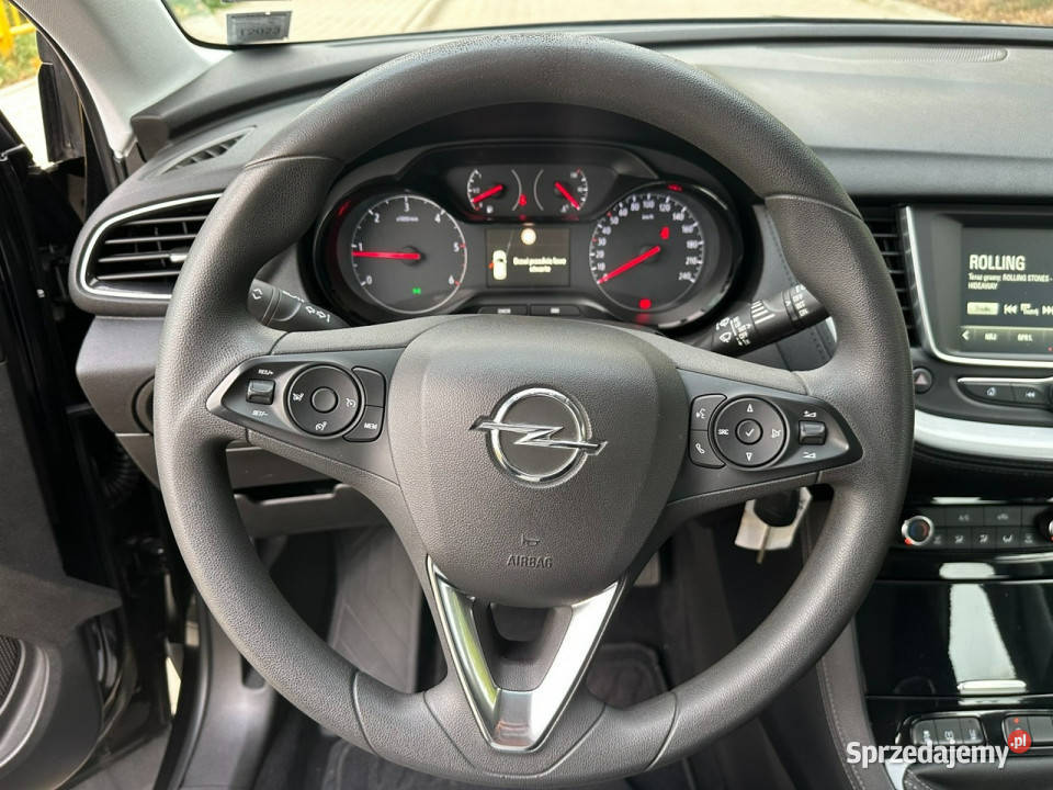 Opel Grandland X Opel Grandland X Opłacony Mały 64000km Gostyń