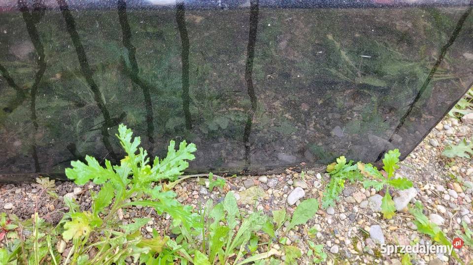 Drzwi Alfa Romeo 145 Łagów