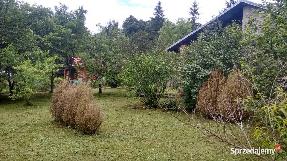 Ogródek działkowy Tarnów Krzyż sprzedam