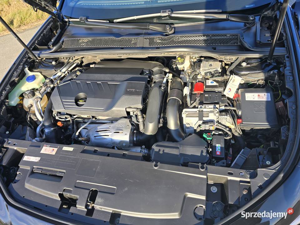 Peugeot 508 Plugin 225 Noktowizor Masaz Radary hybryda Pleszew